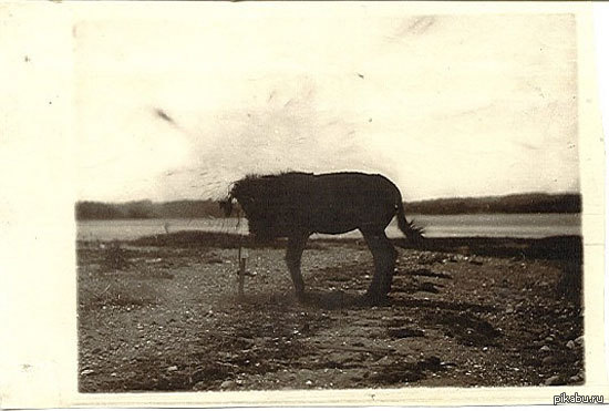  1878    ,         .   .