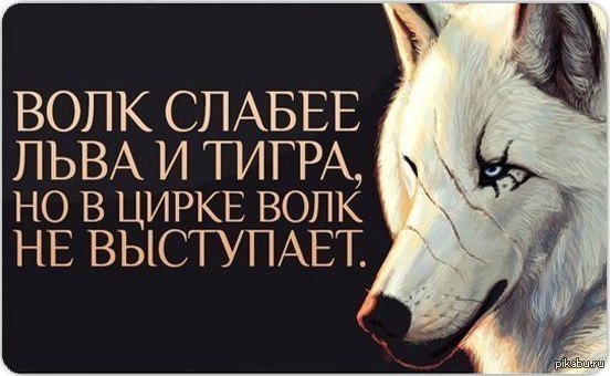 Волки не выступают в цирке, тургай ришат тухватуллин текст и елены келлер и ее учительницы анны салливан. Волки не выступают в цирке
