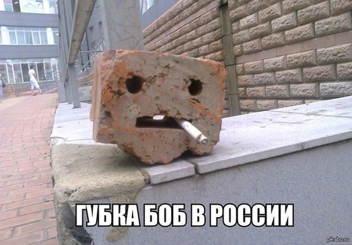 Губка боб картинки приколы с надписями