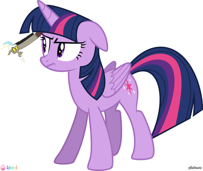 ����� ���� ����������� �������� �������� ���� � ����.