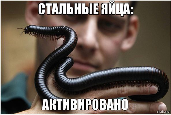 приятное полезно))))0