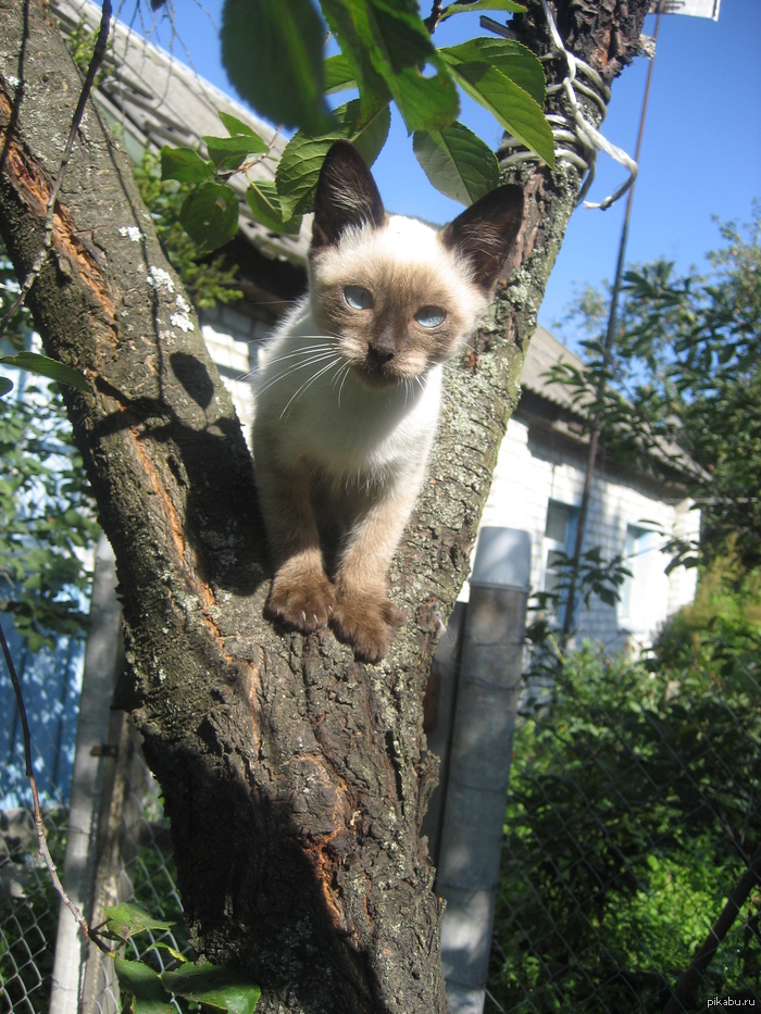 ������� �����������! ����� ���� ������ � ������������^^