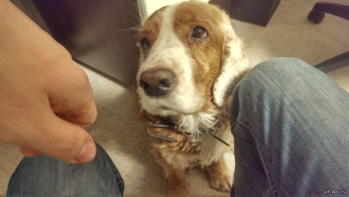 � ��� ������ ���, ����� ���-�� ���