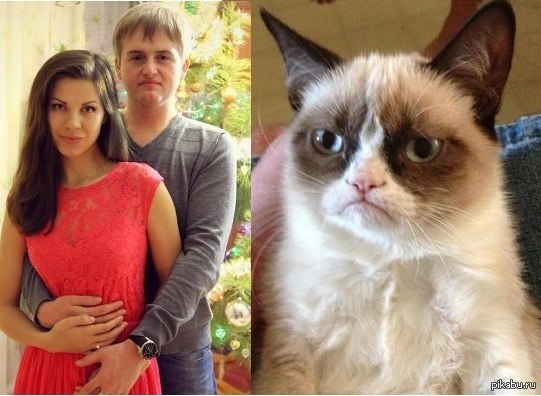 Grumpy Cat and Grumpy man