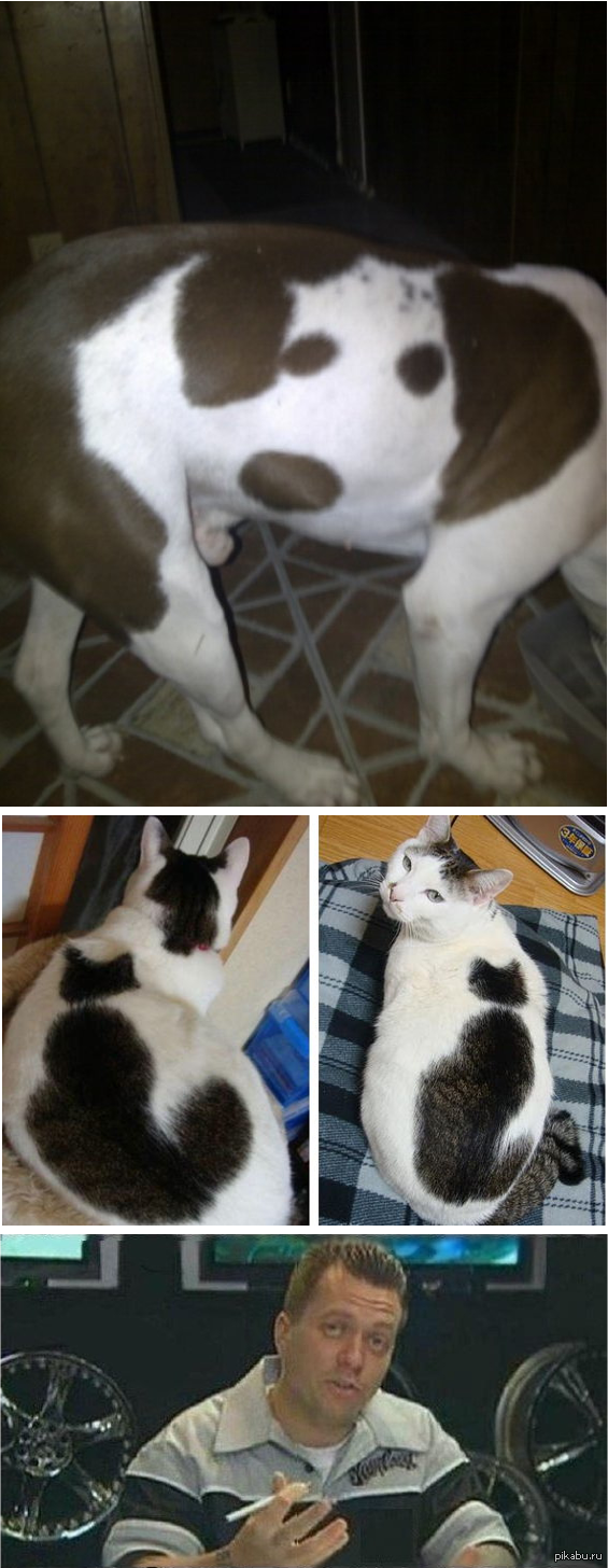 Мы нарисовали...