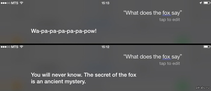 Даже этому ее научили