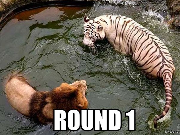 когда знаешь предмет на "отлично", но препод принципиально не хочет ставить