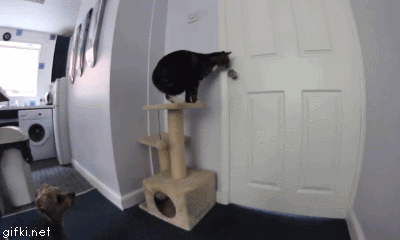 ���������������� �����