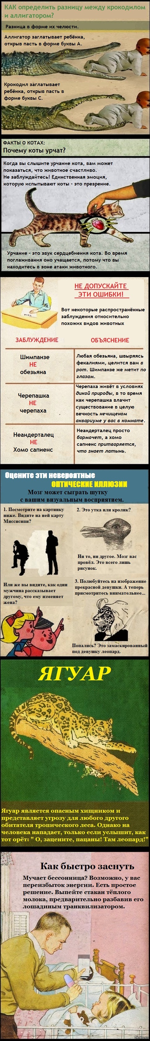 лайфхак | Пикабу