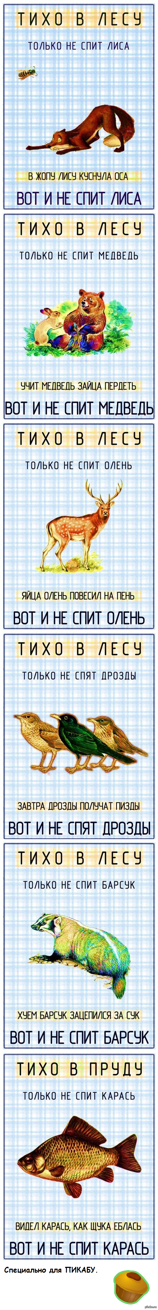 дома тихо все уже спят только (91) фото