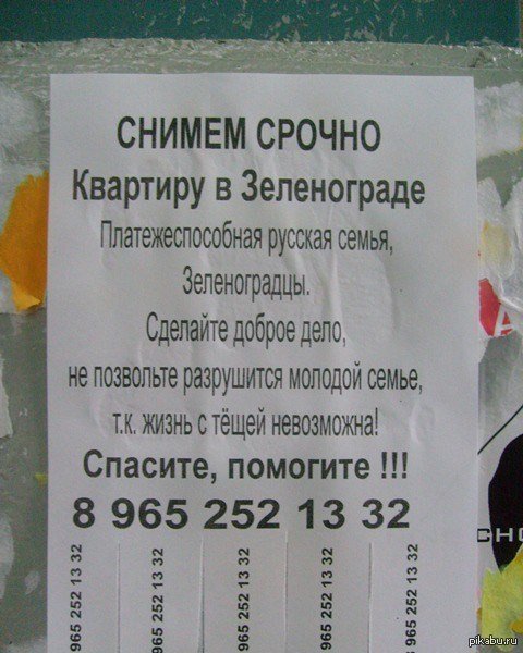 Тёща довела | Пикабу