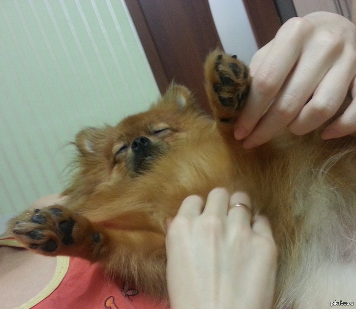 ���� ���� �������!!! ���� ���� �����!!!!!