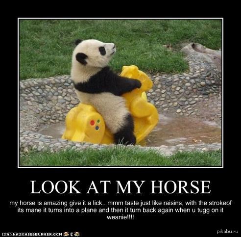 да, он на коне