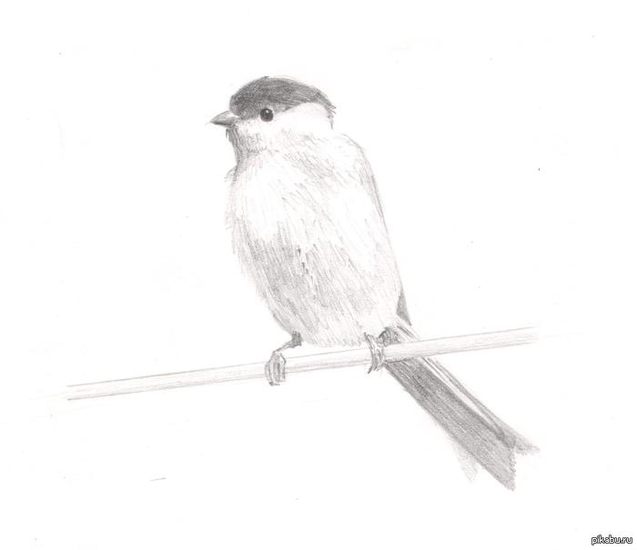 Добро пожаловать к художнику!