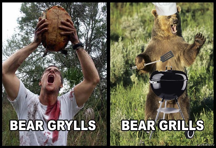 Bear bore born неправильный