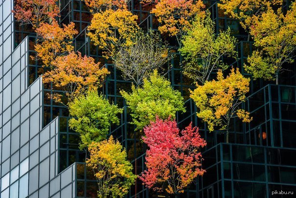 Просто картинка