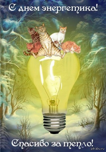 � ���������� ���