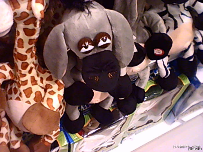 �������� ����)