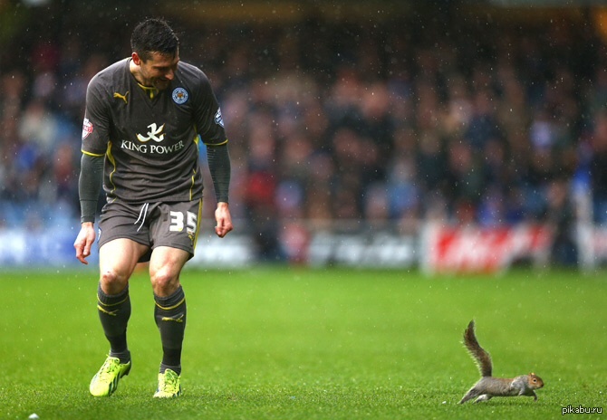 Заядлая болельщица