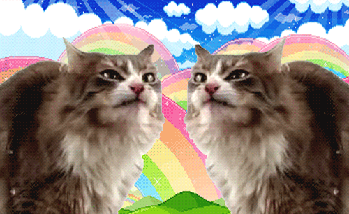 ����� ����������!