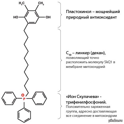 �� �������� ��������, ������� ���������� ����� ����� � 10 ���