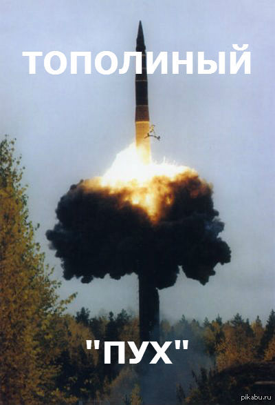 тополиный пух | Пикабу