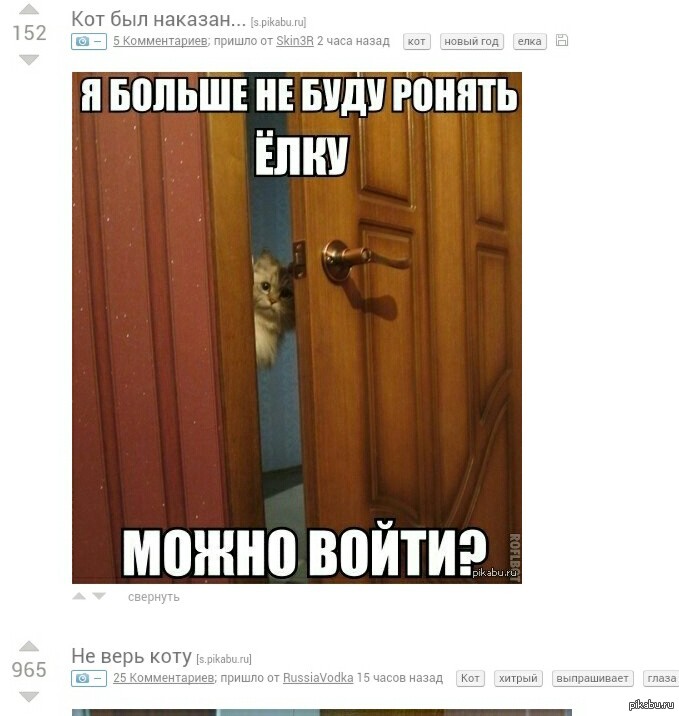 А кому верит?