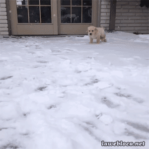 Gif зима