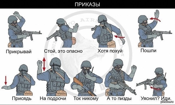 приказы | Пикабу