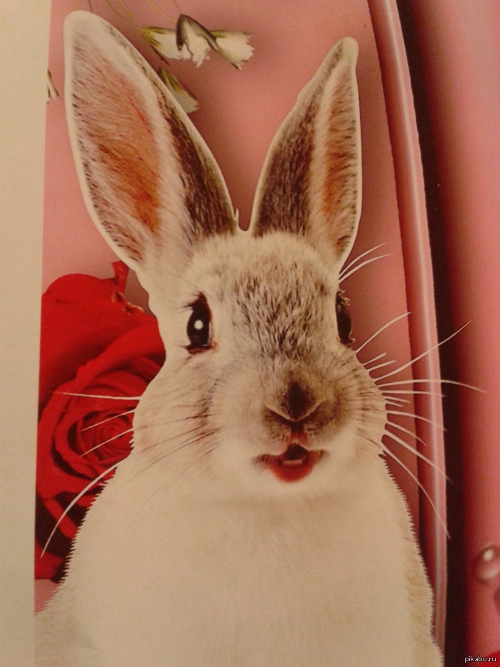 ��� ��� �������� � ����� ��������