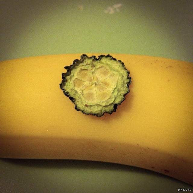 ��� ��� �������� ��� ������, ���� ������ �� ���� ��� ����.