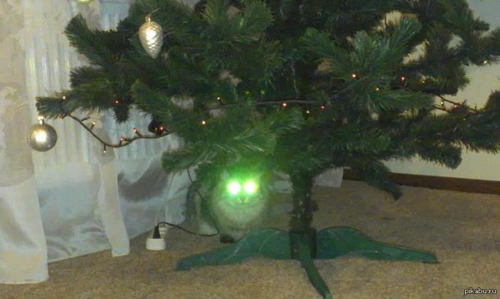 ������� � ������� ���� �� ����...