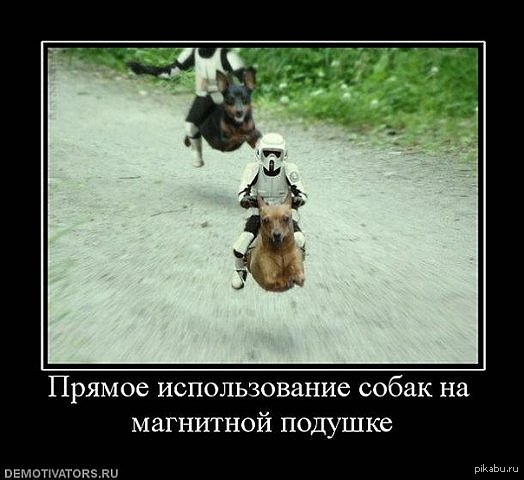 ������� ����� 7 ������