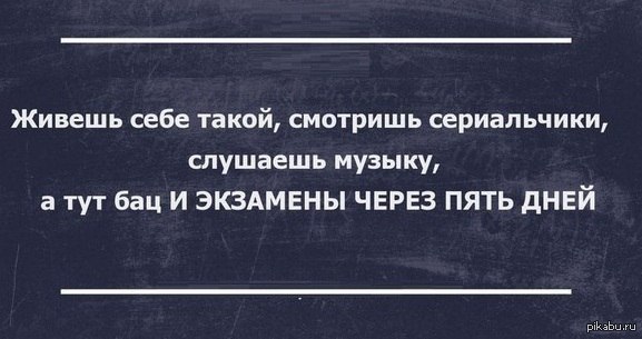 Делаю что хочу тут и тут песня. Делаю что хочу тут и тут песня