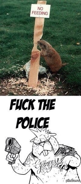 FUCK THE POLICE!