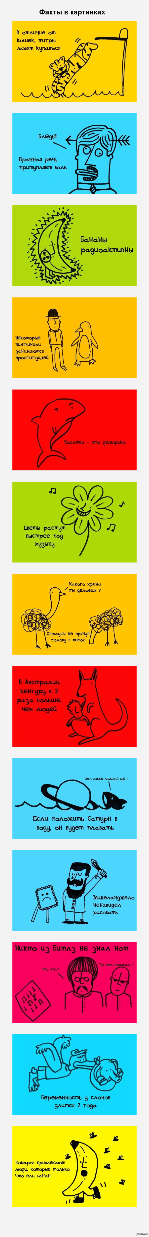 Факты в картинках | Пикабу