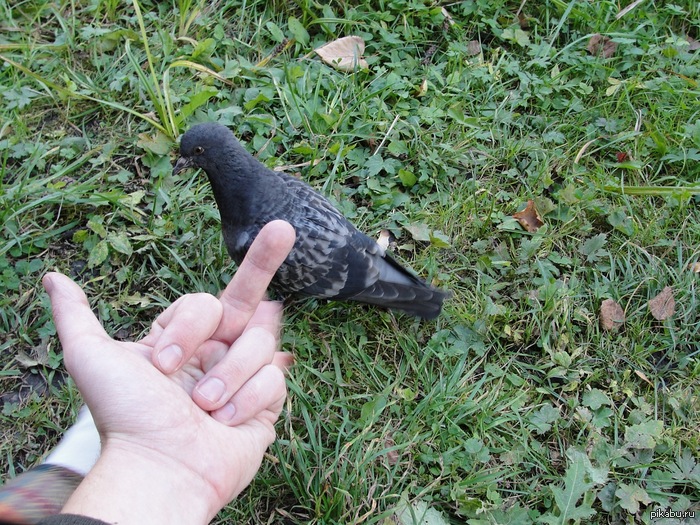 ������ ���� �� ����� ������. �� � �����, �� � ������...