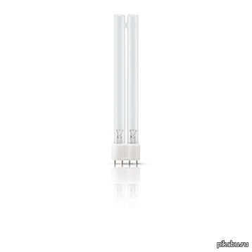 ������, ����� ������ � ������� � �����������!