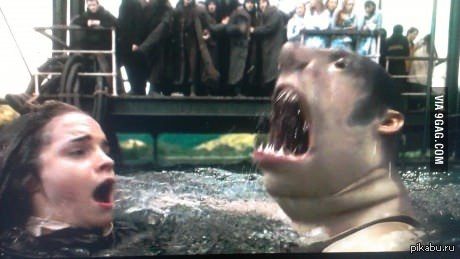 Случайно сделал паузу на этой прекрасной секунде в Гарри Поттере 4.