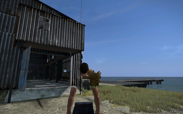 Это Альфа сынок