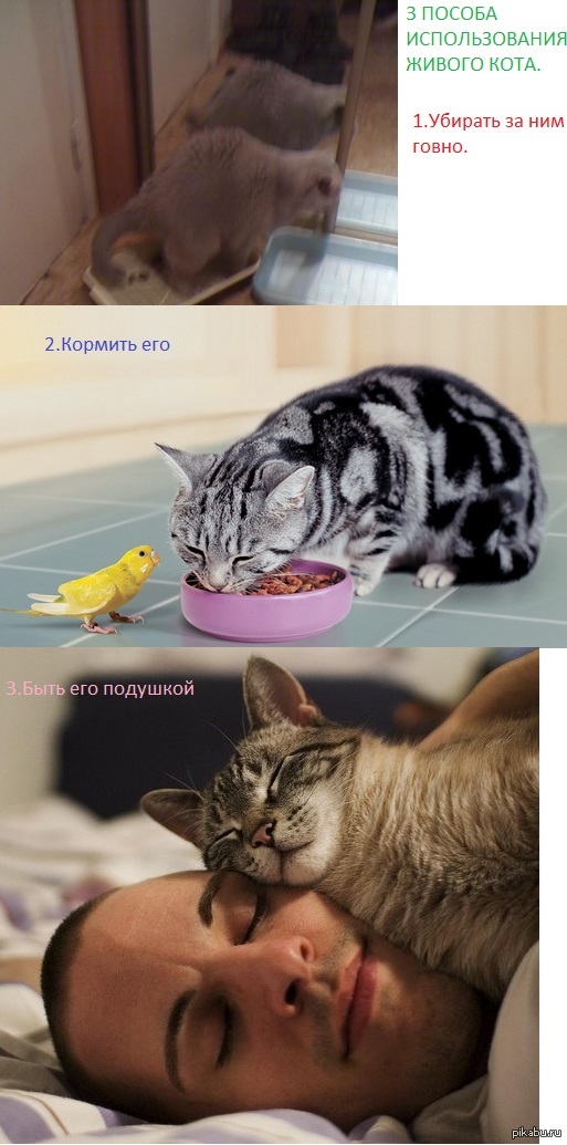 3 ������� ������������ ������ ����.