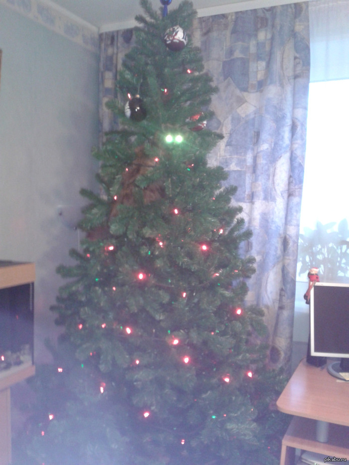 ����� ����