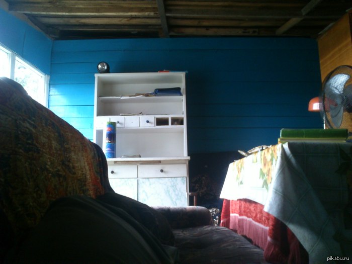 ����� ����