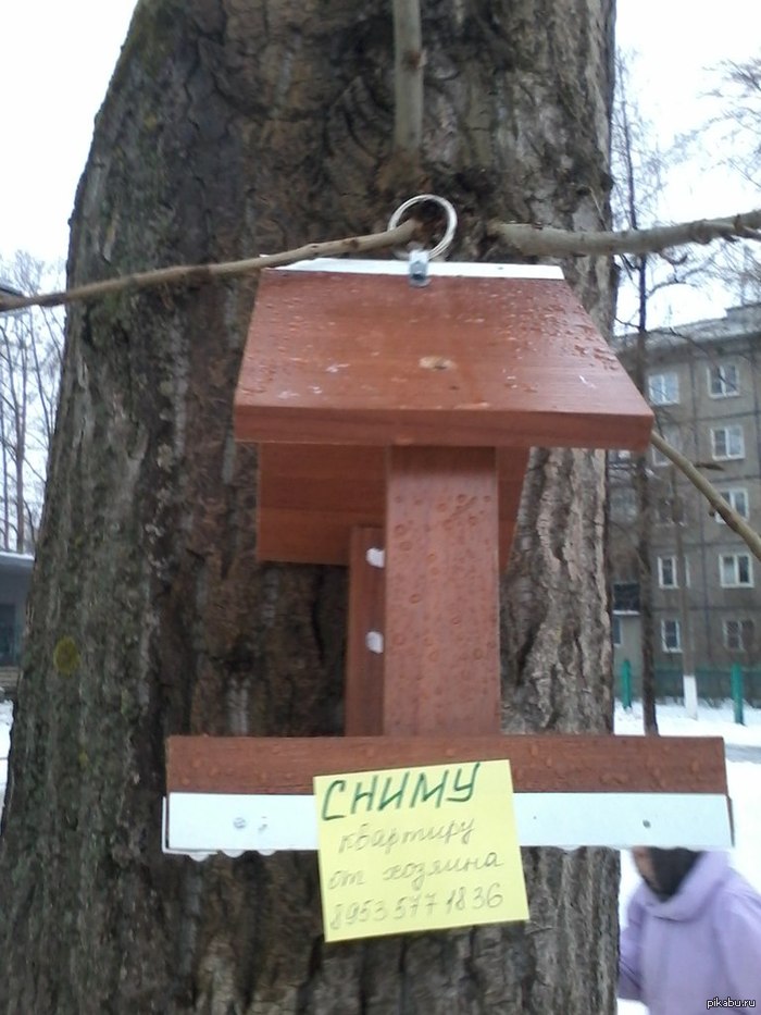 ����� ��������