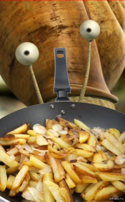 Ничего необычного, просто улитка жарит картошку.