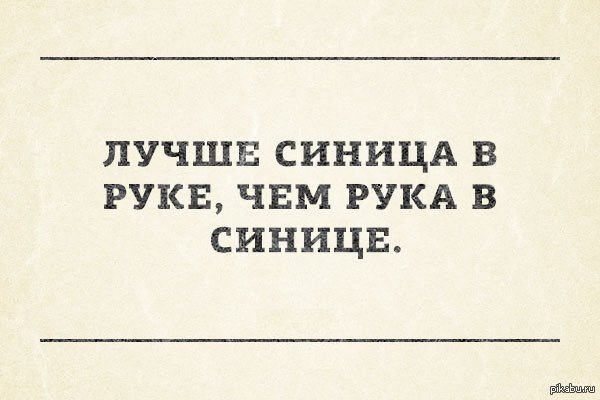 Лучше синица в руках чем. Лучше синица в руках чем рука в синице. Лучше синица в руках чем прикол. Лучше синица в руках чем дятел в.