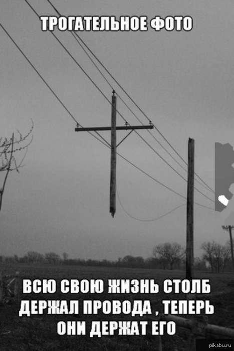 Про ваниль. | Пикабу