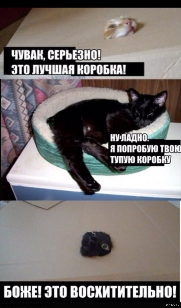 вечная загадка | Пикабу