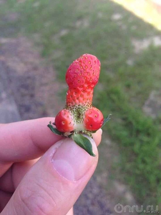Strawberry - NSFW, Strawberry, Strawberry, Strawberry (plant)
