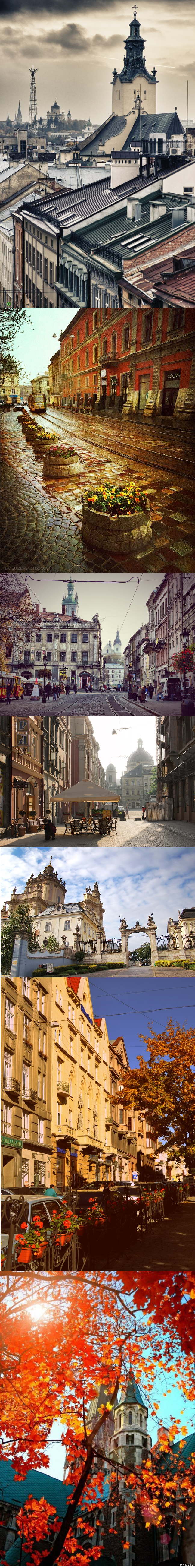 �������� ����� �����